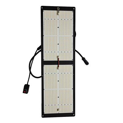 China Seed Starting High Quality Samsung LM301H Farred 730nm QB648 Meanwell Driver 260W Led Grow Light for sale