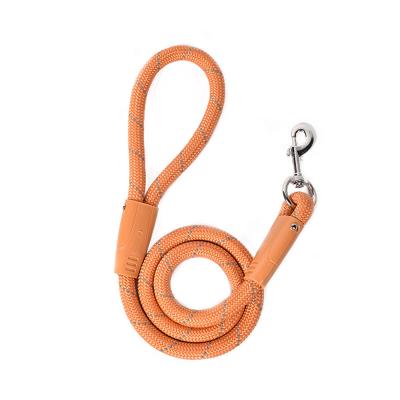 China Stocked Dog Leash Dog Chain Large Dog Leash Pet Product P Walking Chain for sale