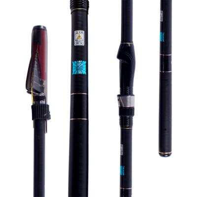 China Outdoor Fishing Activity 155g Top Right 300cm Telescopic Fishing Rod Rod Telescopic Spinning Carbon Sea 5 Section Ocean Rock for sale