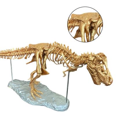 China Show 2021 Hot Sales Show Kids Fossil Model Dinosaur Skeleton Toys for sale