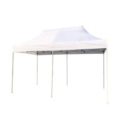 China New Style Heavy Duty Polyester Frame Pop Up Folding Canopy For Garden Leisure for sale