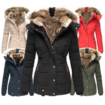 China Anti-Wrinkle Stain Anti-Wrinkle Collar Cotton Warm Jacket Women's Winter Fur Zipper Long Sleeve Hooded Coat Thin Cotton Jacket for sale