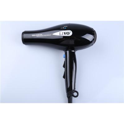 China Custom Brand Ion Salon Quality Low Price Negative Ion Blow Dryer for sale