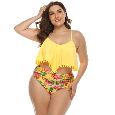 China Xingceng Jaberni High Quality Wear-resistant Plus-size Exotic Women's Dress Breathable Swimsuit for sale