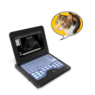 China PORTABLE Veterinary Clinic Ultrasound Portable Veterinary Scanner Veterinary Medical Equipment for sale