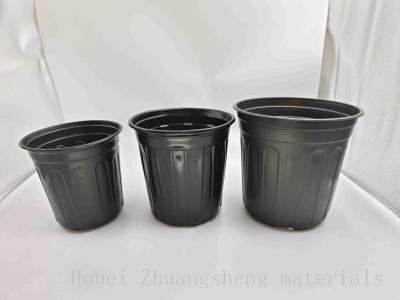 Cina Vaso di plastica nero BN210 della pianta di serie 8 in vendita