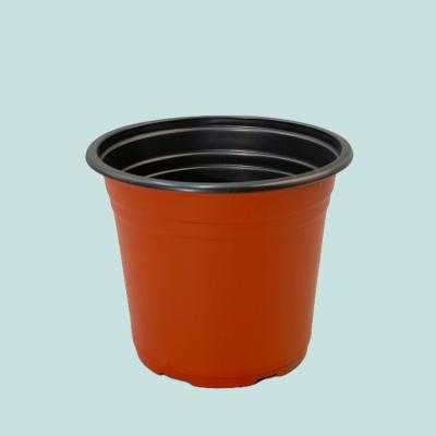 China Series 2 Red plastic plant pot BN170 for sale