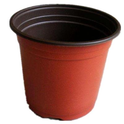 Cina Serie 1 vaso plstic rosso BN150 della pianta in vendita