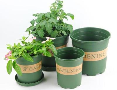 China Reeks 5 Groene plstic installatiepot 3 gallon Te koop