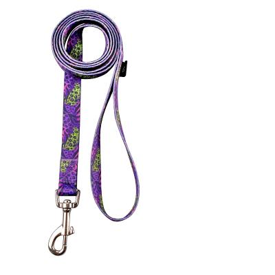 China Personalized a set of 3 pieces - heavy dog ​​collar, traction belt and traction rope for daily training, walking and running for sale