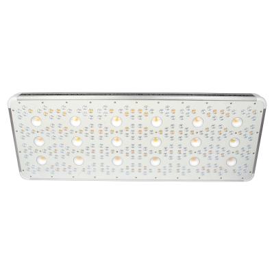 China Double-switch LED vertical bar farm led to grow light red blue COB grow lights veg and flower for sale