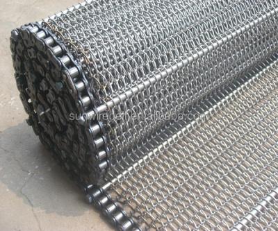 China Heat resistant sun guide roller stainless steel chain belt conveyorAISI314/SS304/316 for sale