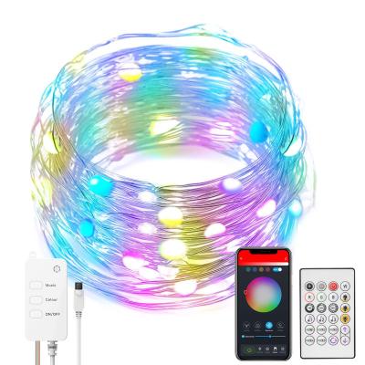 China TUYA Smart String RGB Color Tuya Fairy Lights Smart String Lighting Bulbs Lead Error Free Customs for sale