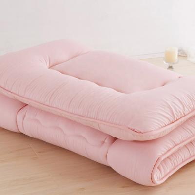 China Convertible futon bed futon cotton tatami floor Japanese foldable foldable mattress sofa bed mattress for sale