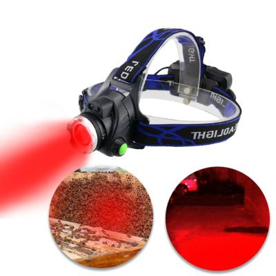 China Adjustable Camp Camping Rechargeable Outdoor Waterproof Headlights Collect Honey Motion Sensor LED Red Light Beekeeping Hunting Headlamp for sale