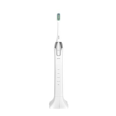 China Side change reminder. Smart pressure sensor. Memory retention. WHITOP Toothbrush for Lady Automatic Rechargeable Teens Girls Electric Sonic Electronic Toothbrush Oral Care Radio Women Best for sale