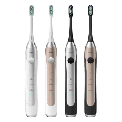 China Side change reminder. Smart pressure sensor. Memory retention. WHITOP Electric Toothbrush with 240 Days Battery Life Wireless Sonic Toothbrush Rechargeable Electronic Tooth Automatic Brush for sale