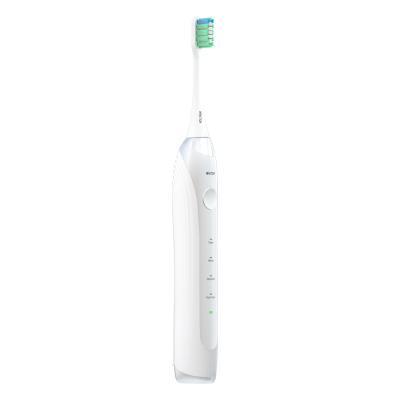 China Side change reminder. Smart pressure sensor. Memory retention. WHITOP Cordless Automatic Adult Teens Sonic Toothbrush Rechargeable Electronic Tooth Electric Brush with 240 Days Battery Life for sale