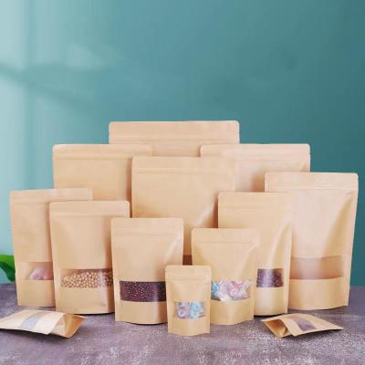 China Square Paper Pouches Packaging Window Bag Disposable Frosted Self Seal Food Packaging Bag for sale