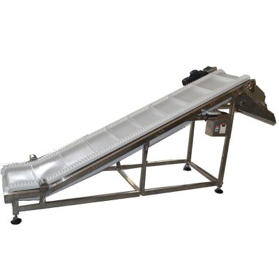 China 400W Slant Coding Conveyor For TIJ Printer Laser Machine for sale