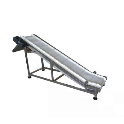 China 60W Climbing Type Bottle Coding Conveyor With Adjustable Baffle for sale