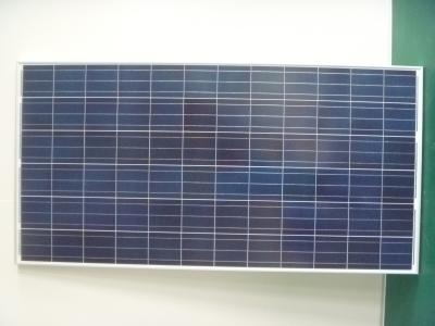 China High Energy Garden Lighting 295 Watt Poly Solar Panels With ISO 9001:2000 for sale