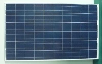 China Paneles solares a prueba de agua policristalinos del poder más elevado los 250 W para la luz de calle en venta