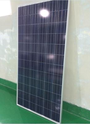 China Painéis solares policristalinos 305 W da eficiência elevada 1956 x 992 com quadro de alumínio à venda