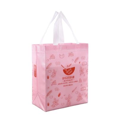 China Factory Price Recyclable Foldable High Quality Custom Colors 100% Biodegradable Nonwoven Bags for sale