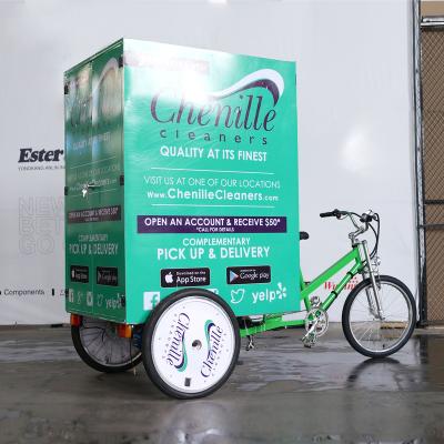 China Customized 500W ESTER Electric Cargo Delivery Trike China Manufacturer, Steel for sale