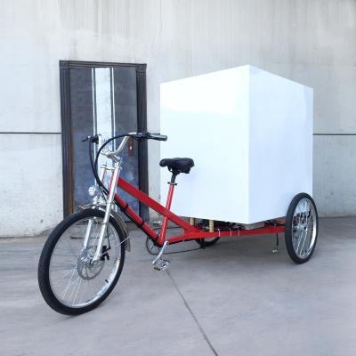 China 500W ESTER Electric New Style Cargo Delivery Tricycle for sale