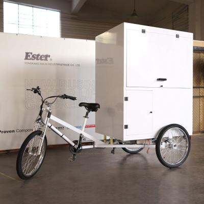 China 2016 arrival of cargo ESTER cafe tricycle with new waterproof lines for sale