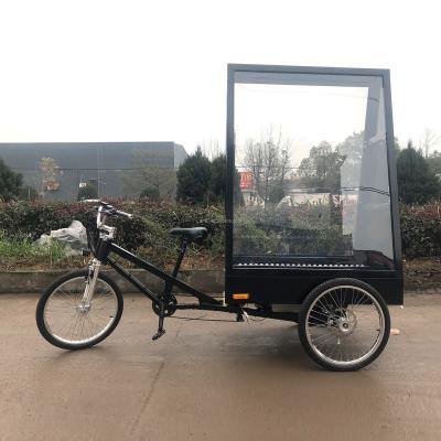 China Advertising profit ESTER LED billboard outdoor advertising two-sided tricycle, LED lights for choose in box, color painting for sale