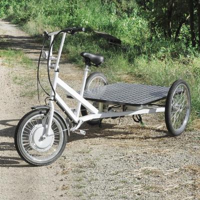 China ESTER Electric Flatbed Cargo Trike for Cargo, Three Wheels Bike for sale