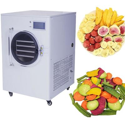 China 2024 Hottest Product Food Freeze Dryer Machine for Home Continuous Drying Machine for sale