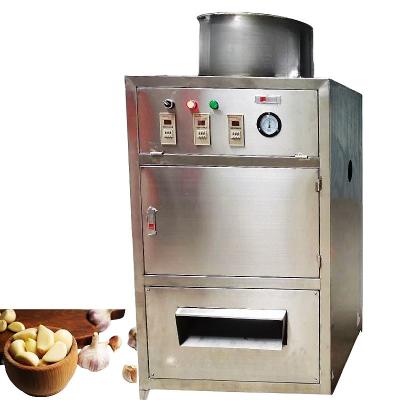 China Small Size 40 KG Fully Automatic Garlic Peeling Machine for Vegetable Processing for sale