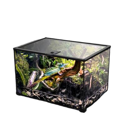 China Breathable the latest anti-escape multifunctional large capacity lizard frog snake reptile glass horned container for sale