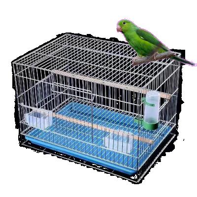 China Durable Hot-selling Durable Galvanized Bold Stainless Steel Myna Parrot Breeding Bird Cage for sale