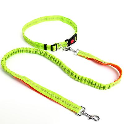 China Custom Thoughtful Dog Leash Nylon Bungee Leash With Clasp for sale