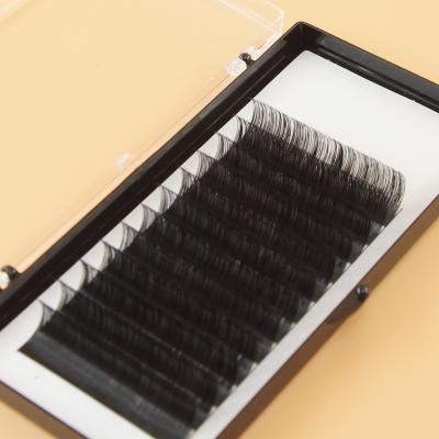 China 2022 Products Super Flexible Hot Easy Use Individual Eyelash Group Fashion Lashes Private Label Eyelash Extensions With Customized Box for sale