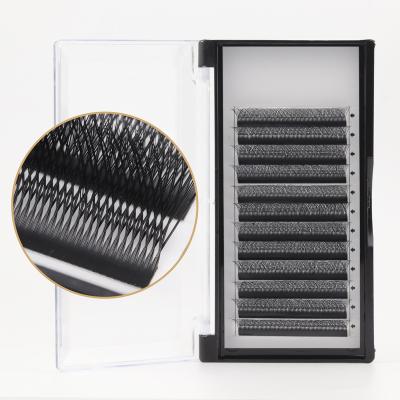 China Factory Price 3d W Shape Light Eyelash Extensions Black Jeleap Lashes for sale