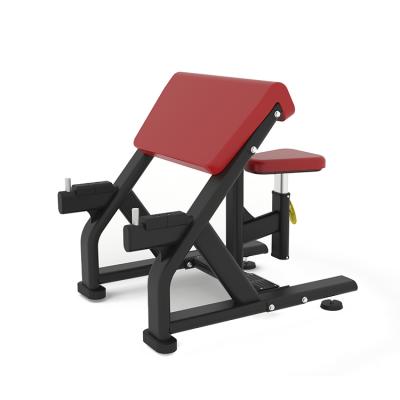 China Professional Strength Training Body Building Commercial Machines Workout Exercise Biceps Bench for sale