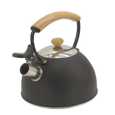 China Sustainable Color Painting Stainless Steel Coffee Tea Water Whistling Kettle for sale