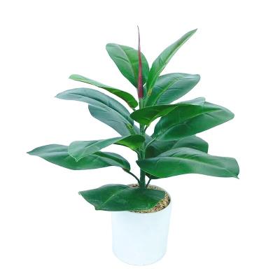 China Hot Sale Eco-friendly Artificial Plants With Pot Green Real Touch Fiddle Leaf Fig Potted Small For Indoor Decoration for sale