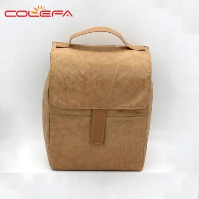 China Papiermittagessen-Kühltasche-kundenspezifische Aluminiumfolie-Wärmedämmung Browns Du Pont Tyvek zu verkaufen