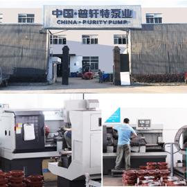 Geverifieerde leverancier in China: - Purity Pump Co., Ltd.