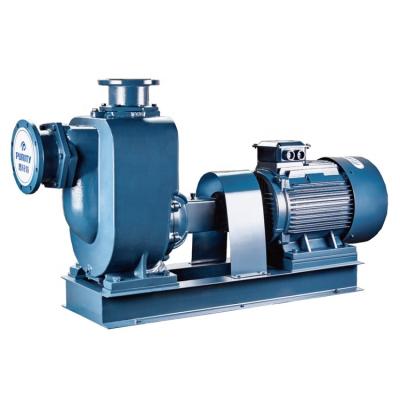 중국 Split Suction Self-priming Centrifugal Sewage Pump 판매용