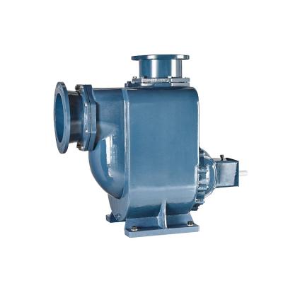 中国 Agricutural Bare Shaft Coupling Horizontal Irrigation Self-Priming Sewage Pump 販売のため