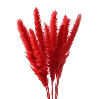 China Pampas Grass The Bright Artificial Pampas Grass Flowers Wedding Decoration Flowers Artificial Tubular Grass for sale