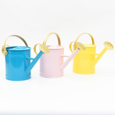 China Eco - Friendly Watering Tools For Indoor Gardens Removable Wholesale Customized Multicolor Metal Watering Can for sale